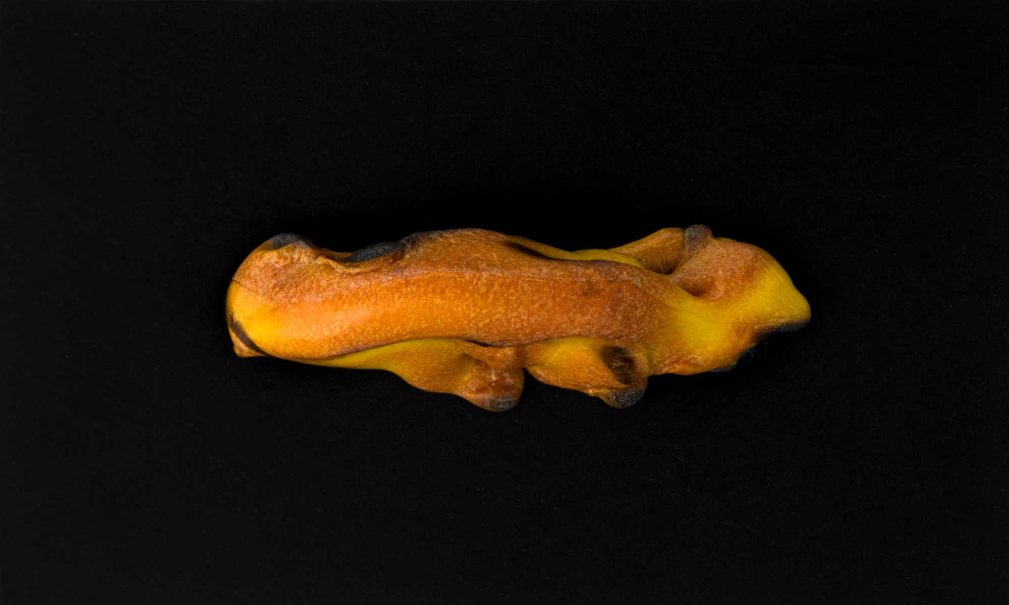 TEU_0545-Aprimorado-NR