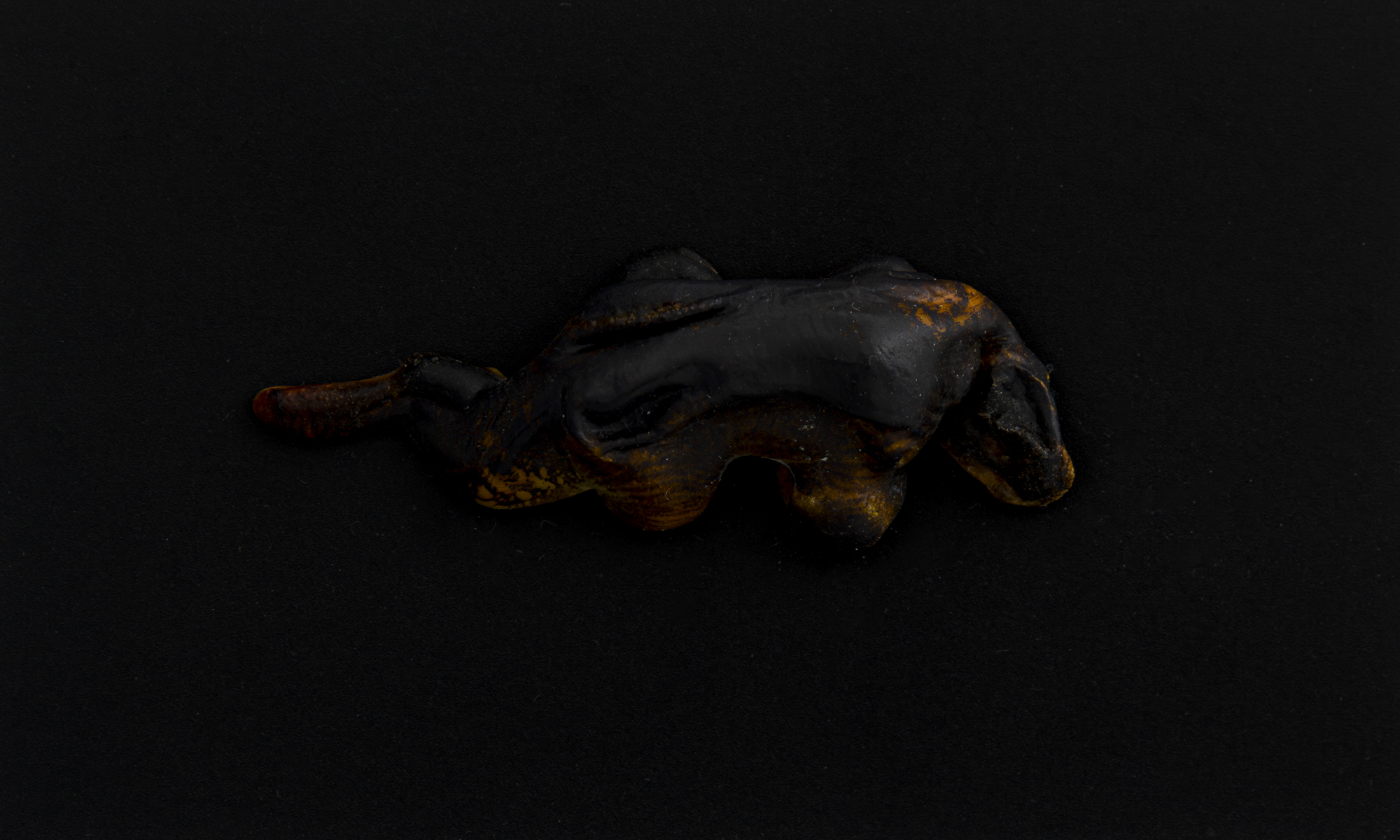 TEU_0548-Aprimorado-NR