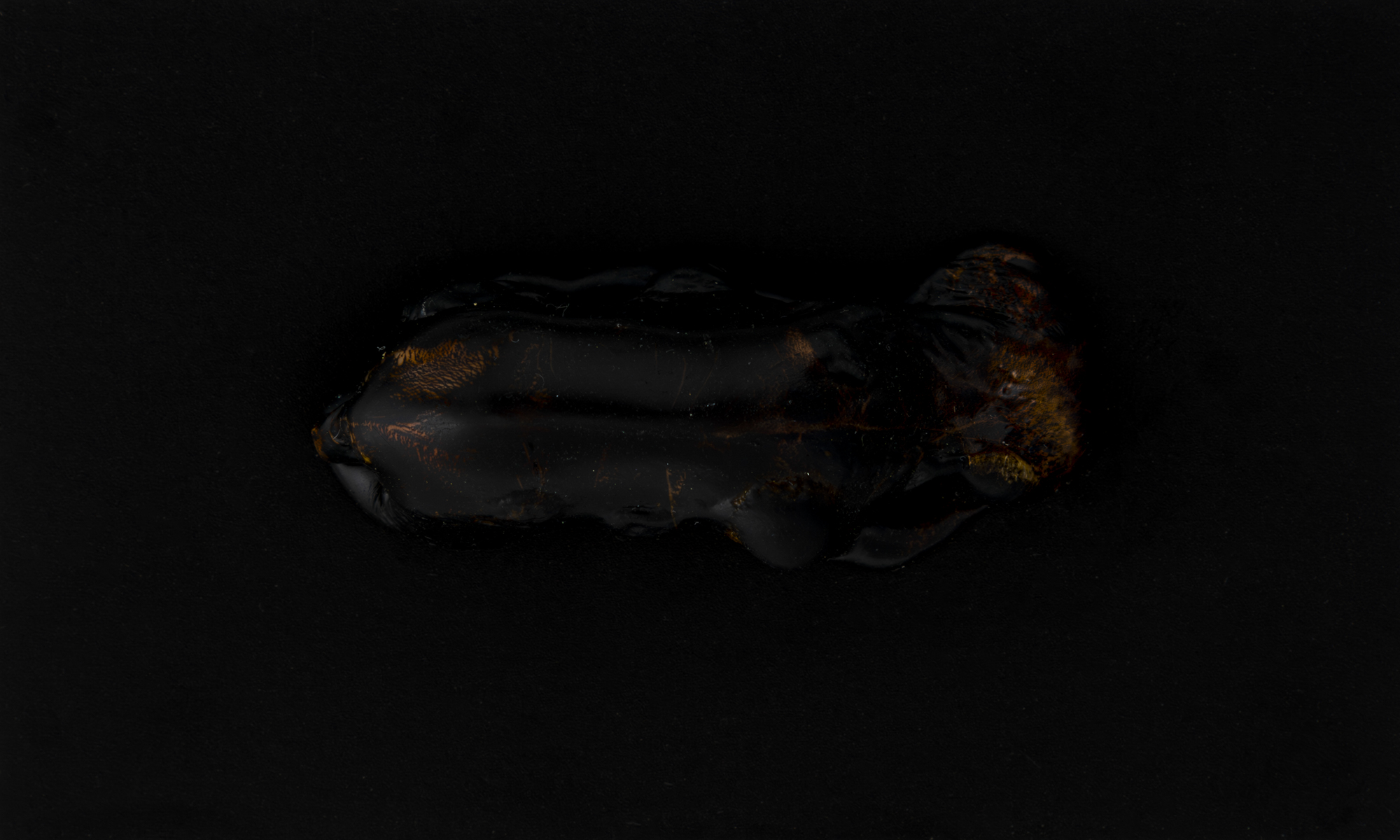 TEU_0569-Aprimorado-NR