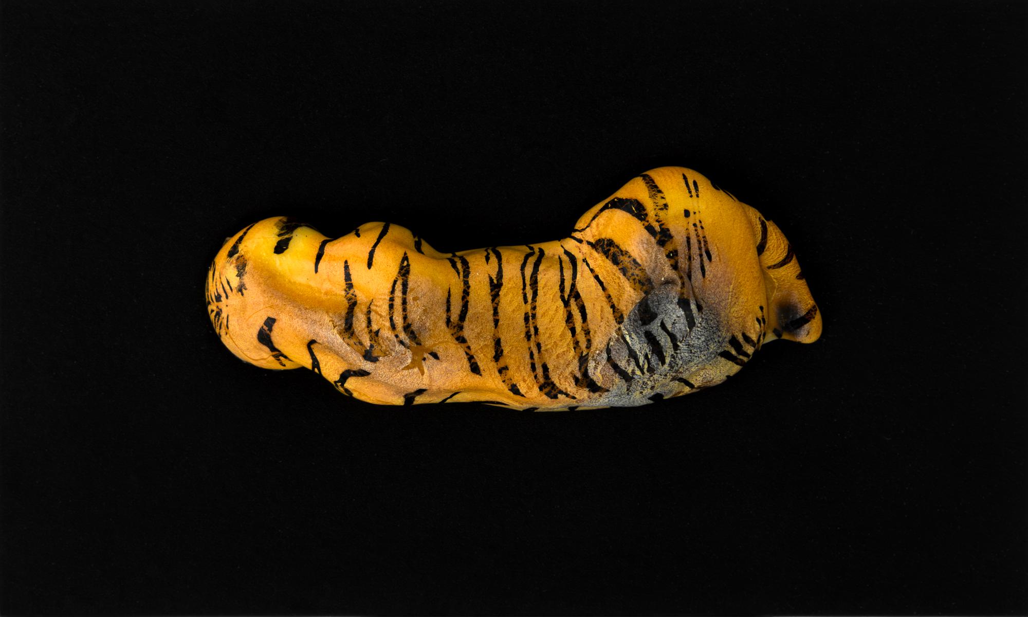 TEU_0570-Aprimorado-NR