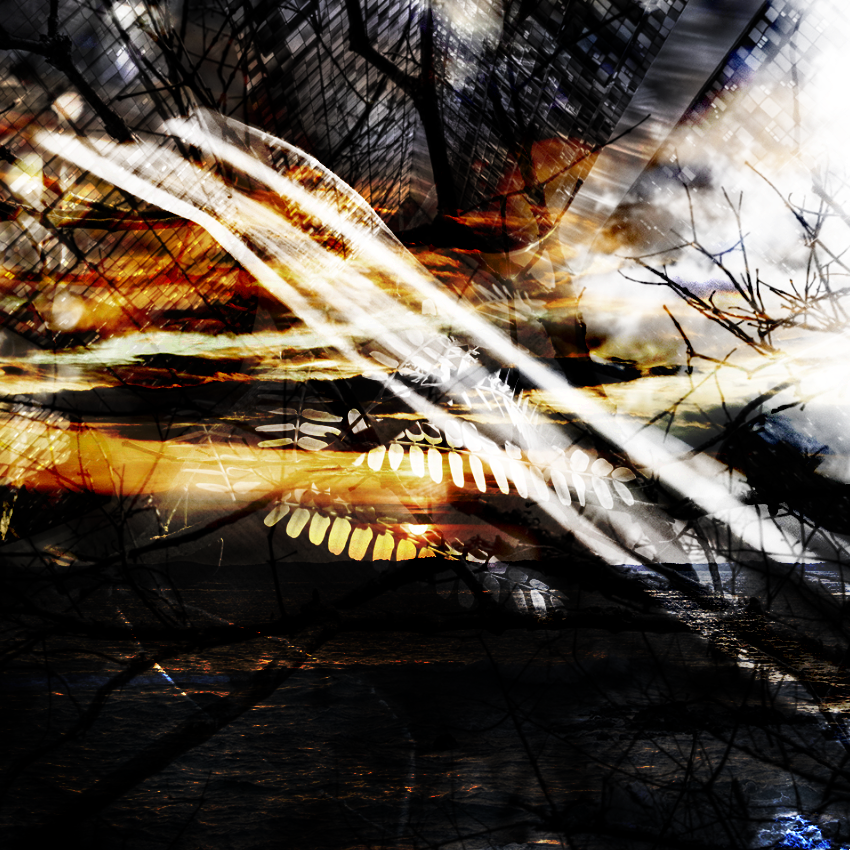 savedScapes