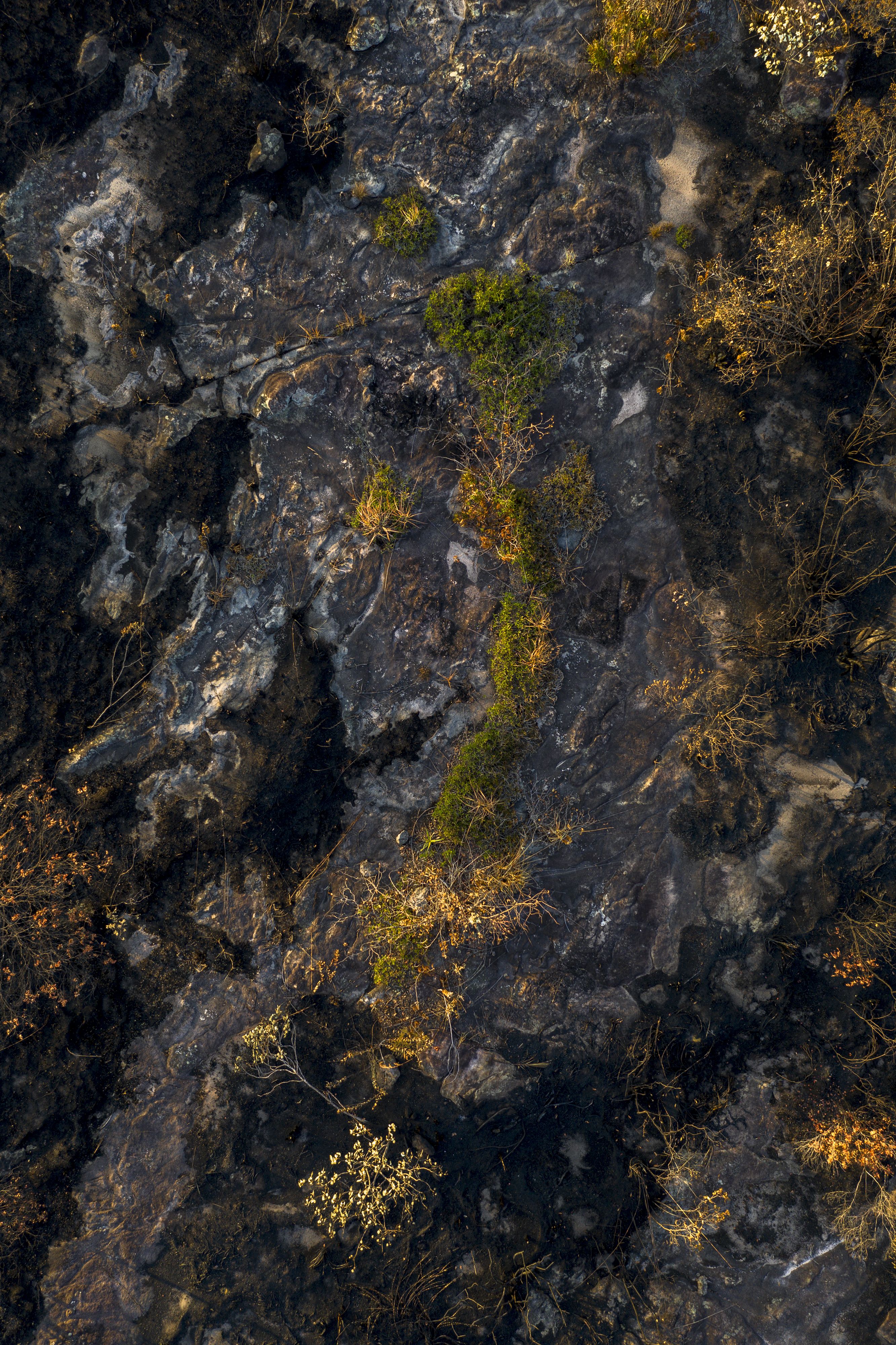 entre o carvão e a escuta