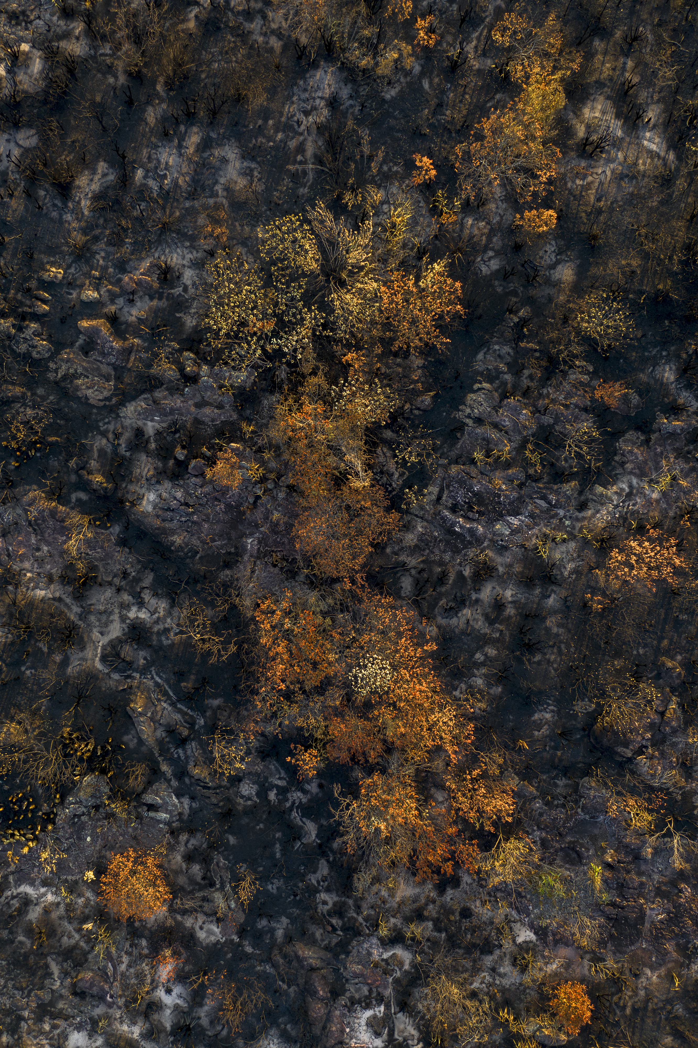 DJI_0168-Aprimorado-NR