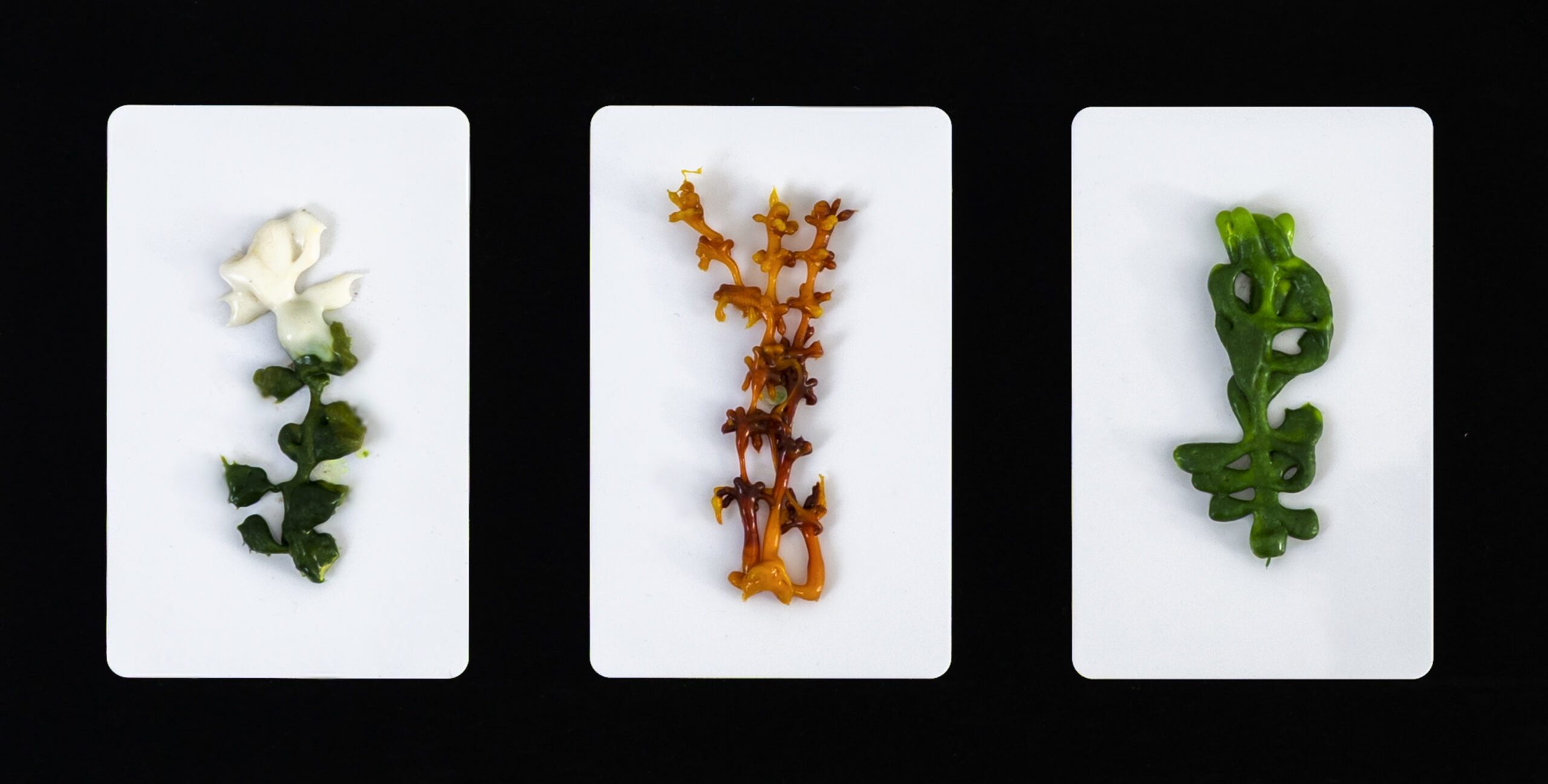 _TEU1380-Editar-Editar-2